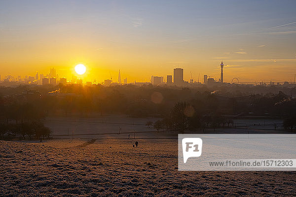 UK  England  London  Regents Park at winter sunrise