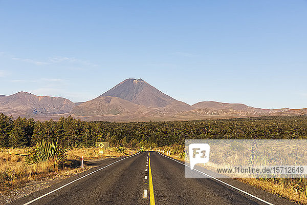 Neuseeland  Nordinsel  abnehmende Perspektive des State Highway 48 mit dem Mount Ngauruhoe im Hintergrund