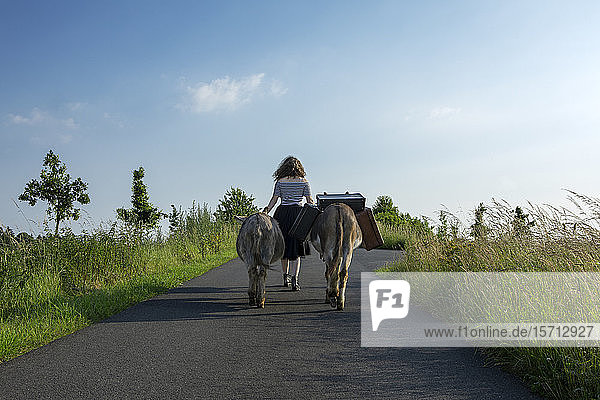 Rückenansicht einer jungen Frau  die auf einer Landstraße mit Eseln mit Gepäck geht