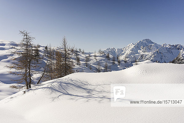 Berglandschaft mit Neuschnee Valmalenco Italien