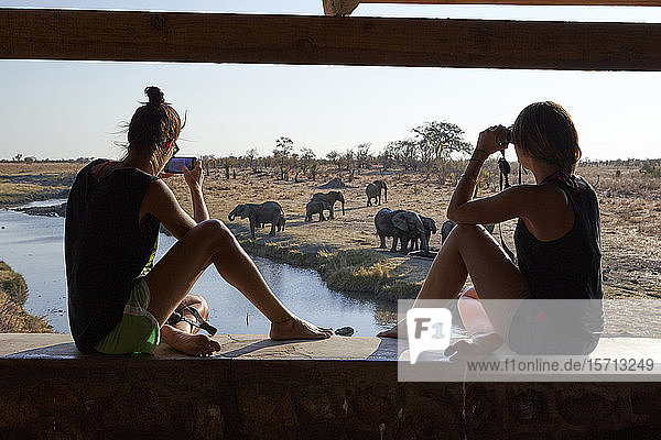 Frau beobachtet und fotografiert eine Elefantenherde im Fluss von einem Aussichtspunkt aus  Hwange-Nationalpark  Simbabwe