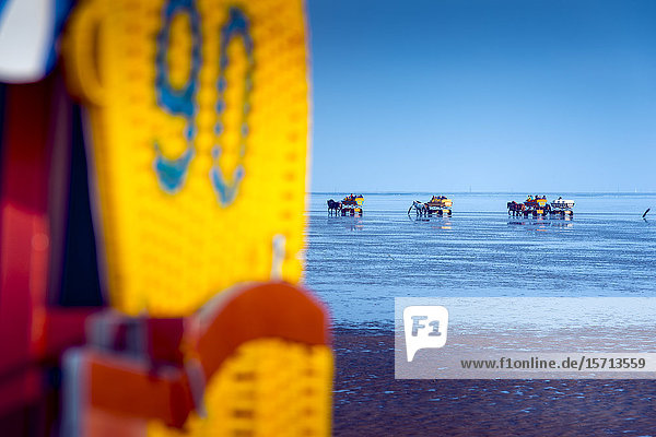 Horsedraw carriages Waden Sea Lower Saxony Germany Europe