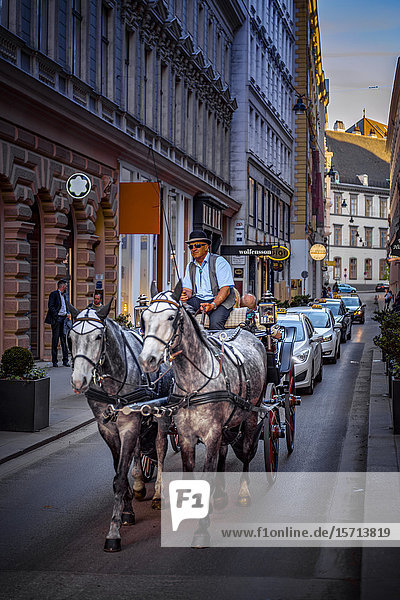 Coach Habsburgergasse Vienna Austria Europe