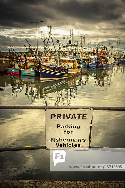 Fishing boats in harbour Anstruther Fife Scotland Europe