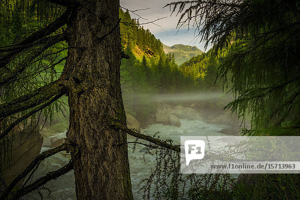 Gurgler Ache Oetztal Oetztal Alps Austria Europe