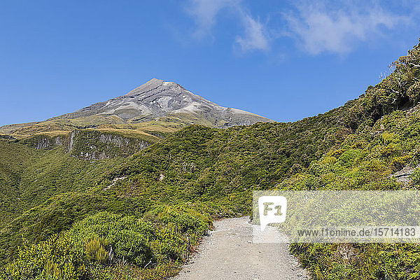 Neuseeland  Blick auf den Vulkan Mount Taranaki und den umliegenden Wald im Frühling
