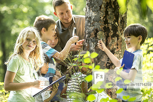 Schulkinder untersuchen mit ihrem Lehrer Baumrinde im Wald