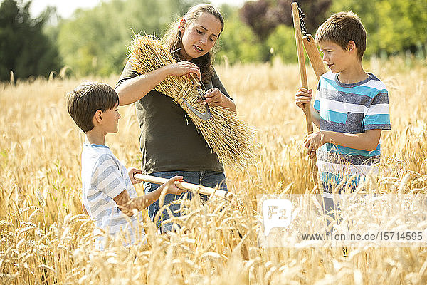 Kinder helfen bei der Weizenernte