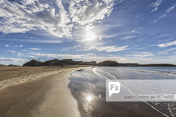 Neuseeland  Region Wellington  Castlepoint  Sonne scheint über Sandstrand am Pazifik