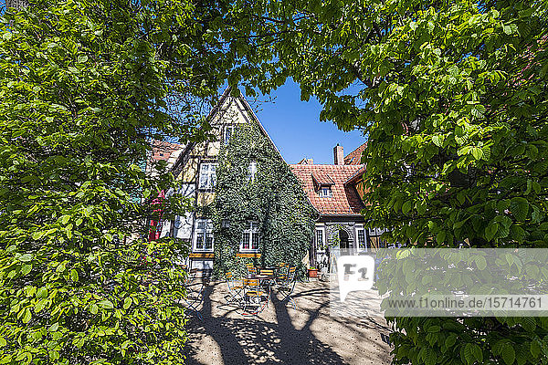 Deutschland  Sachsen-Anhalt  Quedlinburg  Heckenbogen mit von grünem Efeu überwuchertem Haus im Hintergrund