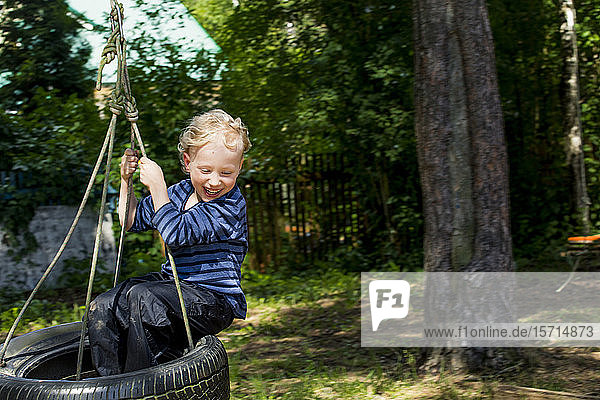 Happy little boy sitting on tire swing