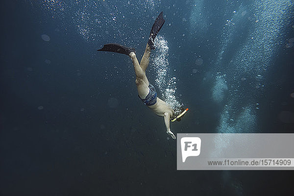 Man snorkeling underwater  Gili Meno  Gili islands  Bali  Indonesia