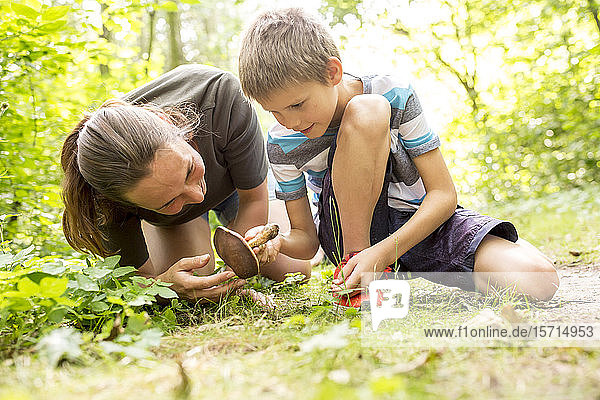 Junge und Fleischer untersuchen Pilze in der Natur