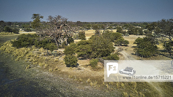 Luftaufnahme eines isolierten weißen Jeeps auf einer schmutzigen Piste und eines großen Affenbrotbaums  Bwabwata-Nationalpark  Namibia