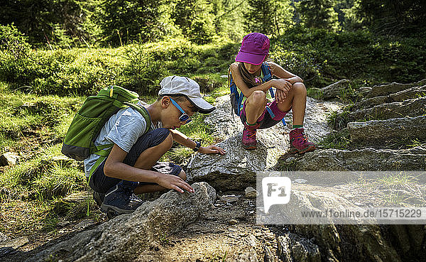 Boy and girl on a hiking trip watching ants  Passeier Valley  South Tyrol  Italy