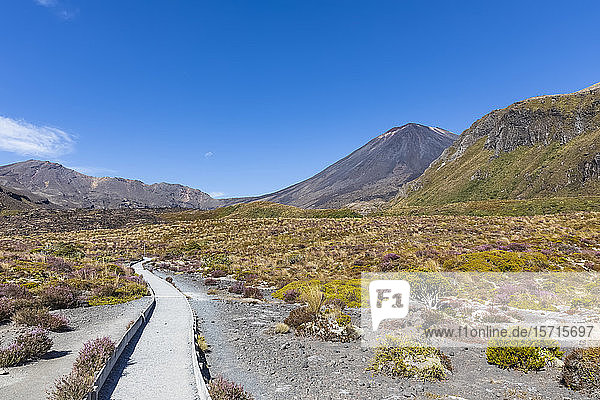 New Zealand  Ruapehu District  Empty footpath toward Mount Ngauruhoe volcano