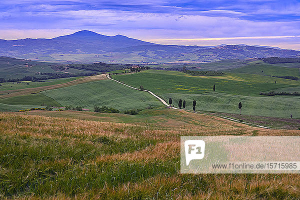 Italien  Toskana  Orcia-Tal  Pienza  Felder und Hügel bei Sonnenuntergang