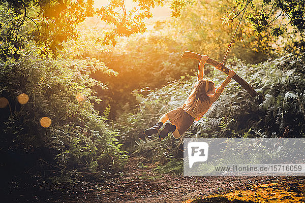 Back view of little girl swinging on a rope swing at backlight