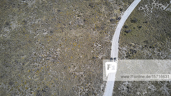 Luftaufnahme von Jeeps  die einen Feldweg entlangfahren  Damaraland-Gebiet  Namibia