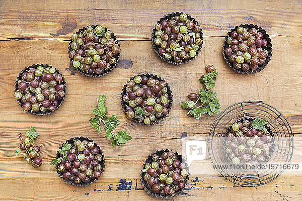 Baking pans with freshly harvested gooseberries on wooden table