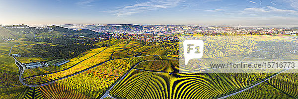 Deutschland  Baden-Württemberg  Stuttgart  Luftbildpanorama von ausgedehnten Weinbergen im Herbst