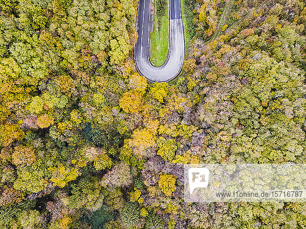 Italien Trentino Trento Luftaufnahme der Kurve einer leeren Autobahn die sich durch den Herbstwald in den europäischen Alpen zieht