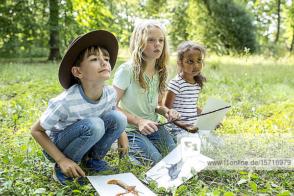 Schulkinder lernen  Tierarten im Wald zu unterscheiden