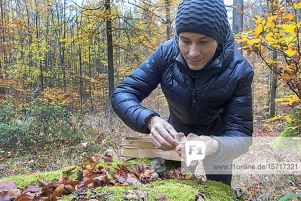 Germany  Bavaria  content man picking mushrooms at Gramschatzer Wald in autumn