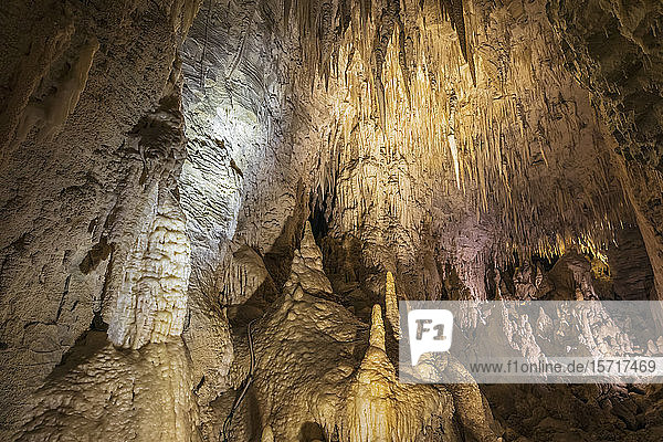 Neuseeland  Ozeanien  Nordinsel  Waitomo-Höhlen  Ruakuri-Höhle  Stalaktiten und Kalksteinformationen in der Höhle