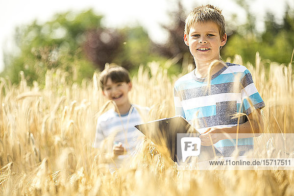 Kinder untersuchen Weizen auf dem Feld
