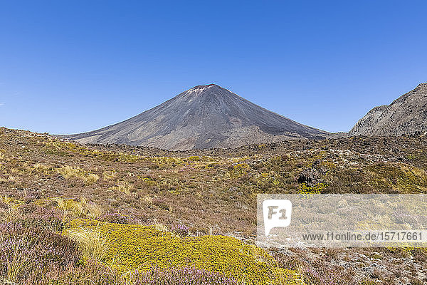 Neuseeland  Distrikt Ruapehu  Vulkan Mount Ngauruhoe gegen klaren blauen Himmel