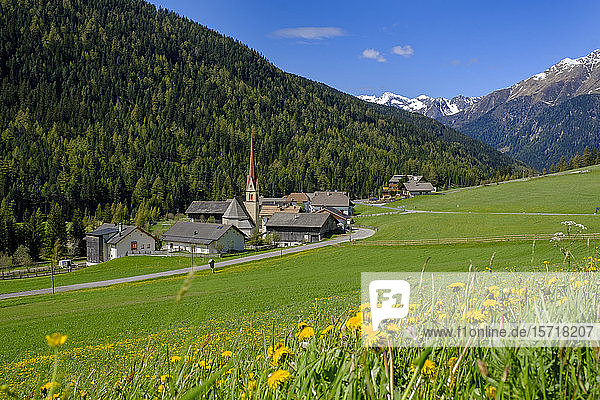 Italien  Südtirol  Stifte  Frühlingswiese vor dem Bergdorf am Penser Joch