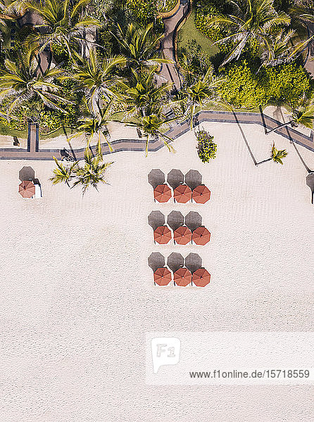 Indonesia Bali Aerial view of umbrellas and palms on beach
