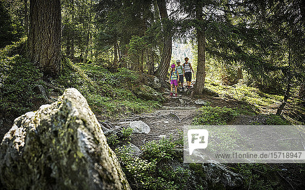 Mother with two children hiking in forest  Passeier Valley  South Tyrol  Italy