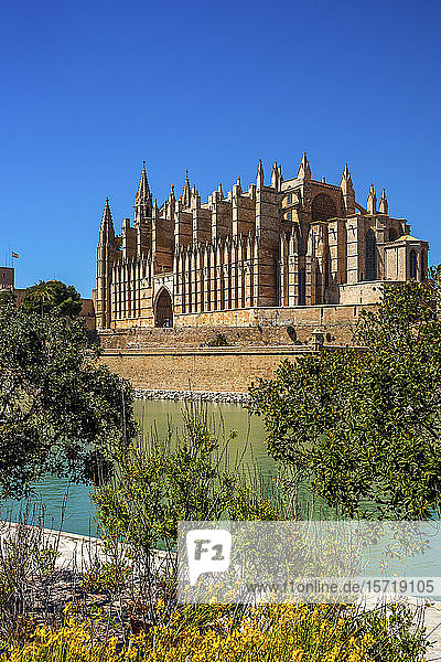 Spanien  Palma de Mallorca  Kathedrale von Palma
