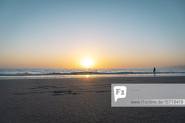 USA  California  Los Angeles  Clear sky over sandy coastal beach of Pacific Ocean at sunset