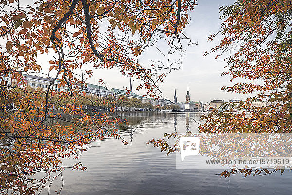 Deutschland  Hamburg  Herbstliche Baumäste gegen die Binnenalster