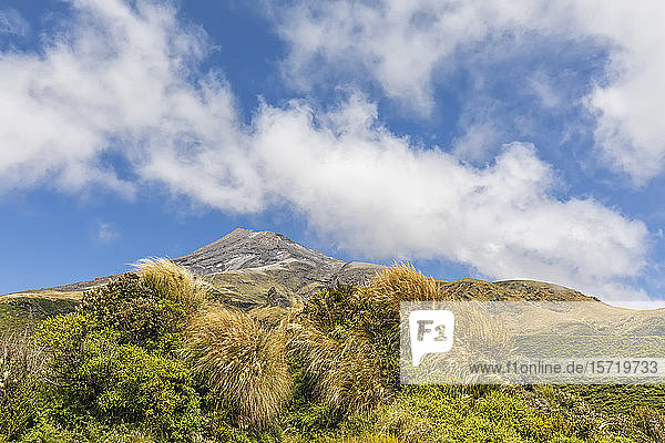 New Zealand  Low angle view of Mount Taranaki volcano in spring