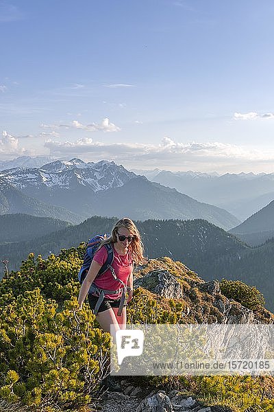 Berglandschaft  Wanderer auf Wanderweg am Herzogstand Heimgartenübergang  Oberbayern  Bayern  Deutschland  Europa