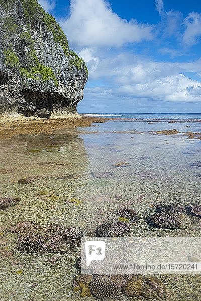 Avaiki Gezeitenbecken Südpazifik Niue Ozeanien