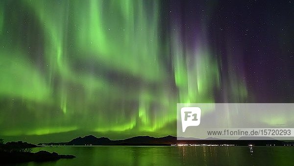 Polarlicht an der Küste Nordlicht (Aurora borealis) Lofoten Norwegen Europa