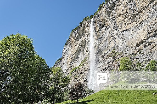 Staubbachfall  der von einer hohen Felswand herabstürzt  Lauterbrunnental  Lauterbrunnen  Berner Oberland  Schweiz  Europa