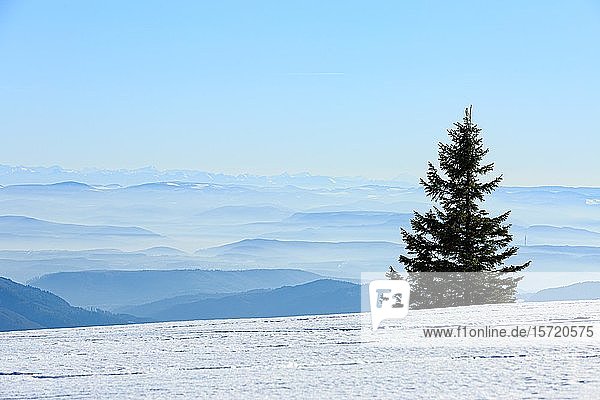 Blick vom schneebedeckten Gipfel des Belchen auf Höhenzüge und Alpenkette Schwarzwald  Baden-Württemberg  Deutschland  Europa