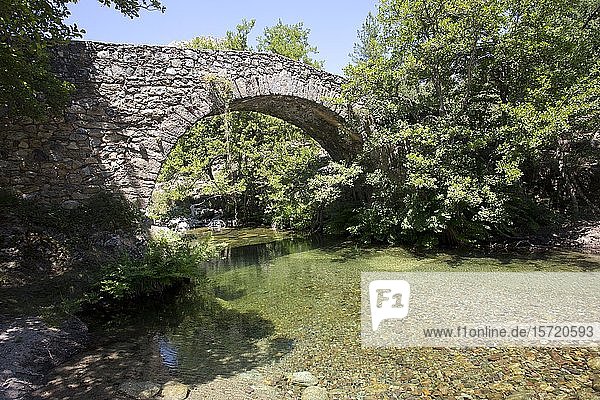 Alte Steinbrücke Pont de Muricciolu über den Bergbach Viru  Albertacce  Korsika  Frankreich  Europa