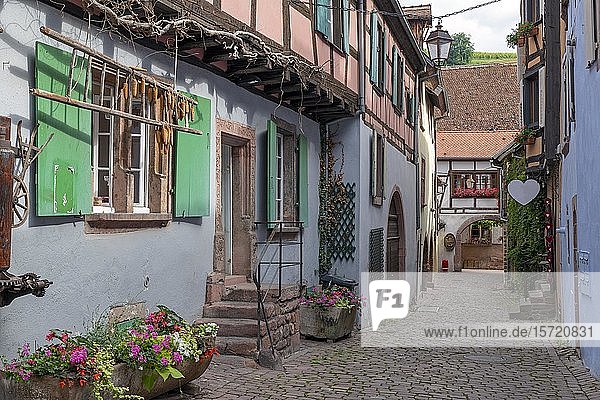 Historische Häuser in Gasse  Riquewihr  Elsass  Frankreich  Europa