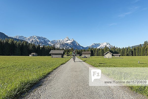 Frau Radelt  Heustadel auf einer Wiese  Ehrwalder Sonnenspitz und Berge  bei Ehrwald  Tirol  Österreich  Europa