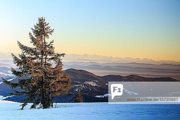 Abendstimmung auf dem winterlichen Gipfel des Belchen bei Sonnenuntergang  Blick auf Bergketten und Alpenkette  Schwarzwald  Baden-Württemberg  Deutschland  Europa