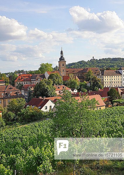 Blick vom Garten der Neuen Residenz auf Bamberg  Oberfranken  Bayern  Deutschland  Europa