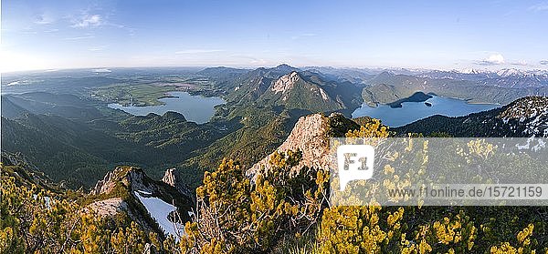 Bergpanorama  Blick vom Herzogstand auf den Kochel- und Walchensee mit Rabenkopf  Benediktenwand und Jochberg  Alpen  Oberbayern  Bayern  Deutschland  Europa