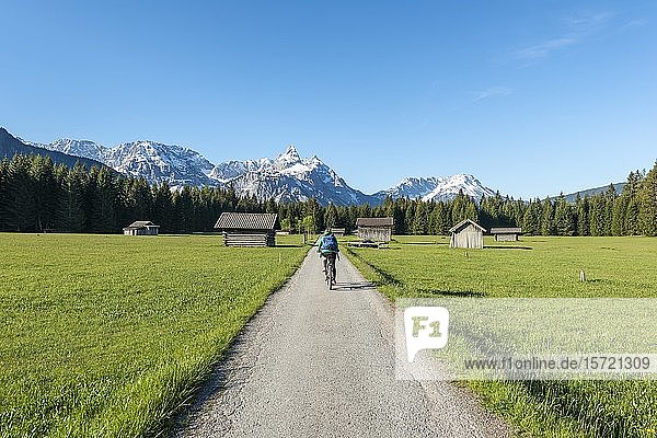 Frau Radelt  Heustadel auf einer Wiese  Ehrwalder Sonnenspitz und Berge  bei Ehrwald  Tirol  Österreich  Europa